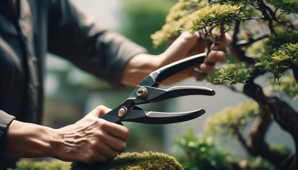 mastering bonsai tree pruning