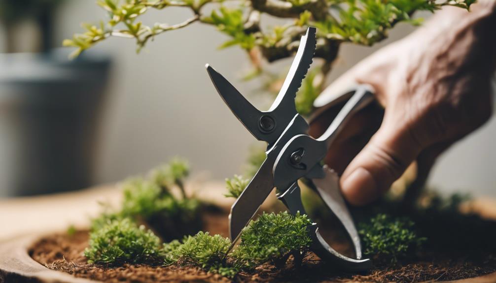 Assured Success Guide To Bonsai Care Tools 2 accurate wire cutting tool