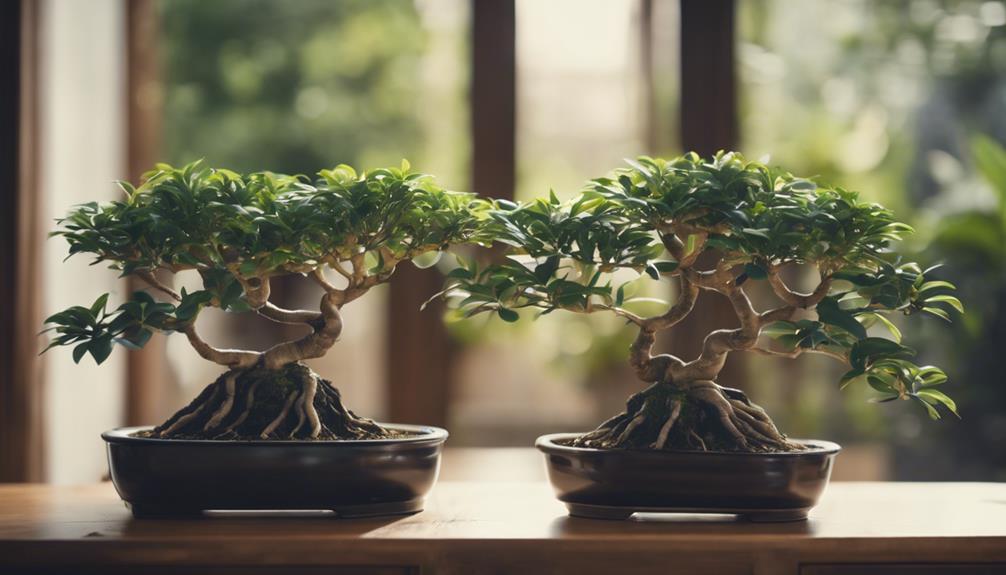 artificial ficus bonsai tree