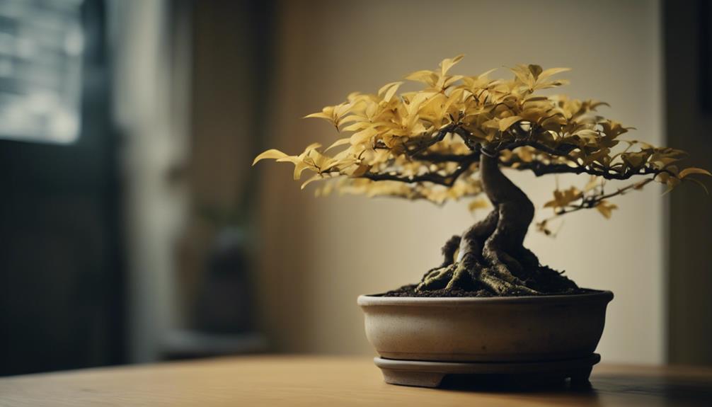 avoiding common indoor bonsai mistakes