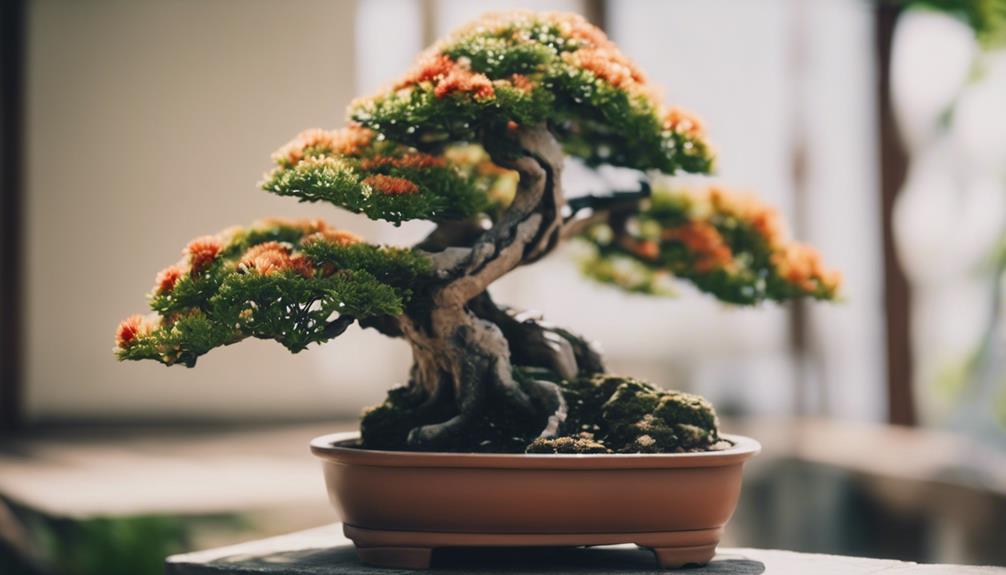 bonsai blooming season analysis