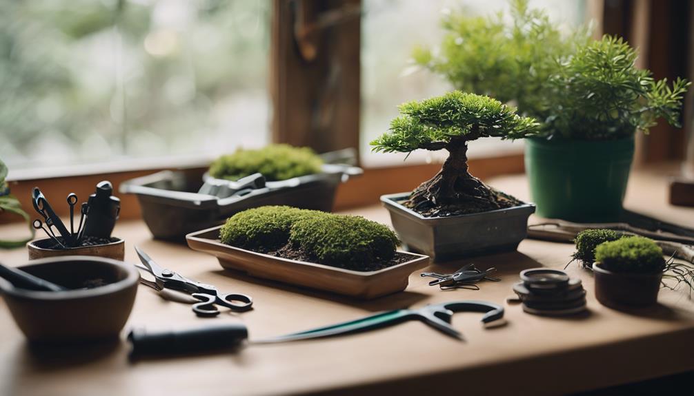 3 Trusted Steps For Essential Bonsai Care Kit Guide 2 bonsai care essentials list