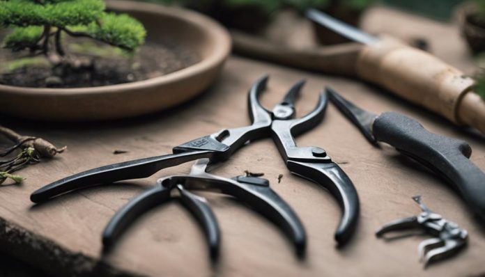 Essential Tools for Bonsai Tree Care