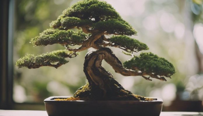 bonsai tree identification guide