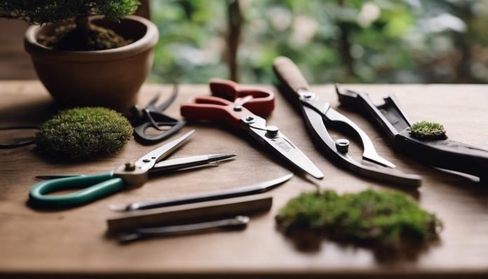 Top Bonsai Trimming Tools
