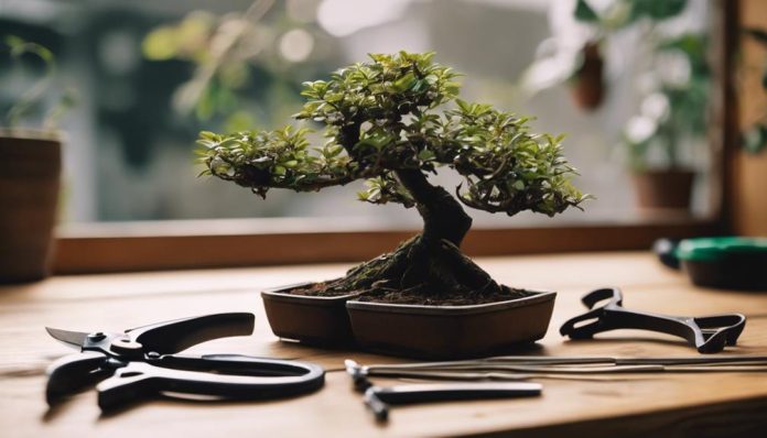 Budget Friendly Bonsai Tree Tools