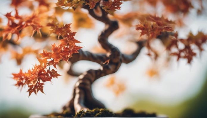 Exotic Bonsai Tree Species