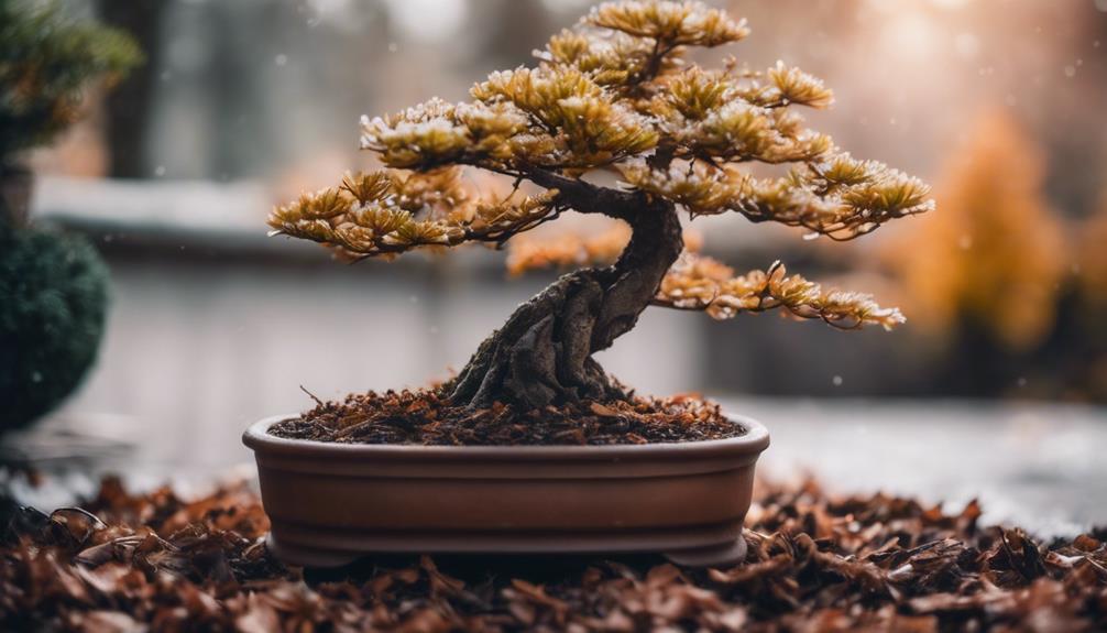 fall and winter plant care