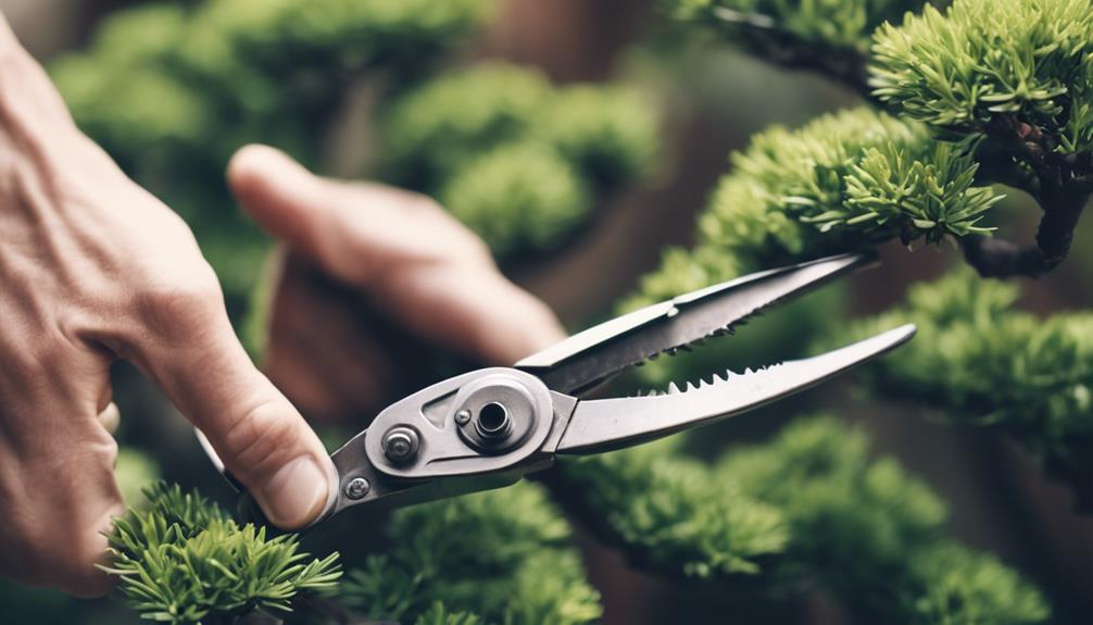 10 Best Essential Tools for Bonsai Tree Care 1 gardening tool for trimming