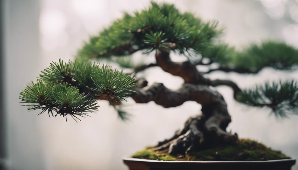 miniature pine tree art