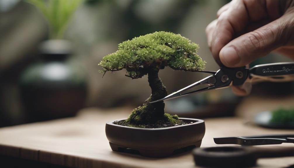 Do Bonsai Trees Really Need Specialized Care Tools? 2 nurturing bonsai with precision