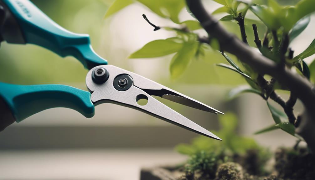 precise pruning for bonsai