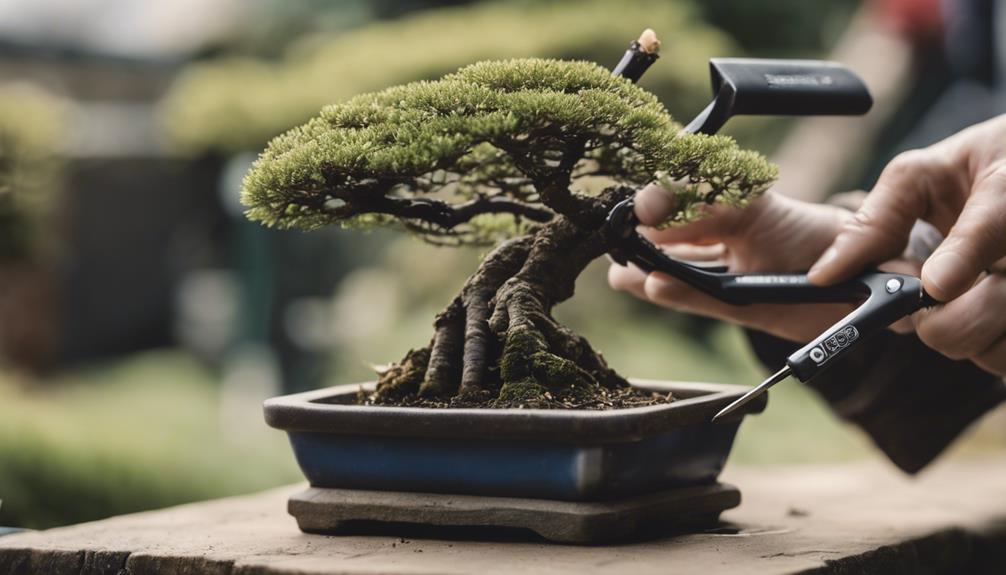 pruning for optimal growth