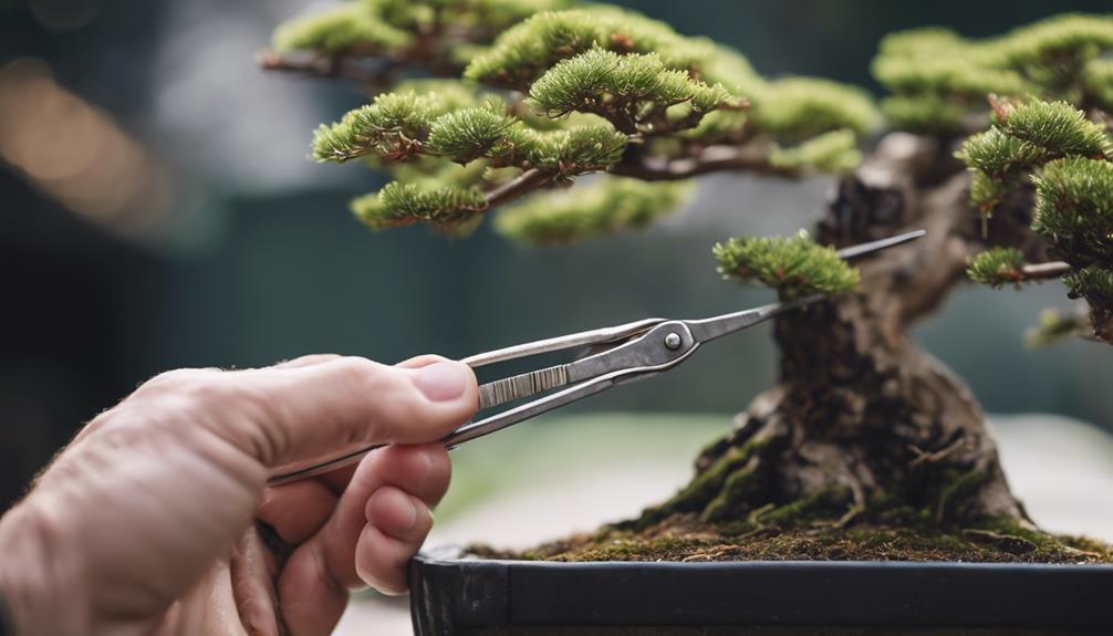 10 Best Essential Tools for Bonsai Tree Care 2 pruning tool for bonsai