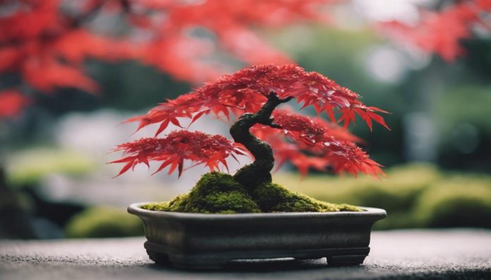 Rare and Exotic Bonsai Species