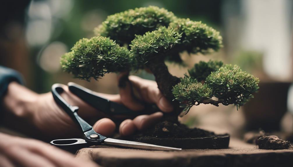 Journey Through Pro Bonsai Tree Pruning Tools 1 toolbox must haves for maintenance