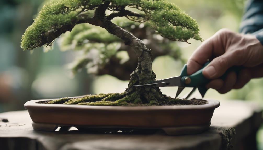 tools for garden work