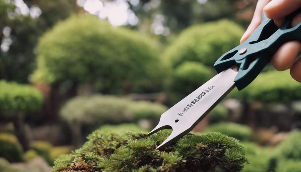 trimming bonsai tree branches