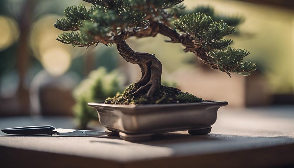 Assured Success Guide To Bonsai Care Tools 1 trimming bonsai with care