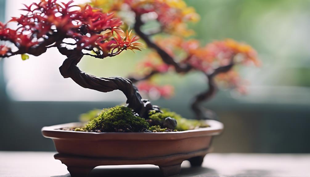 unique bonsai tree varieties